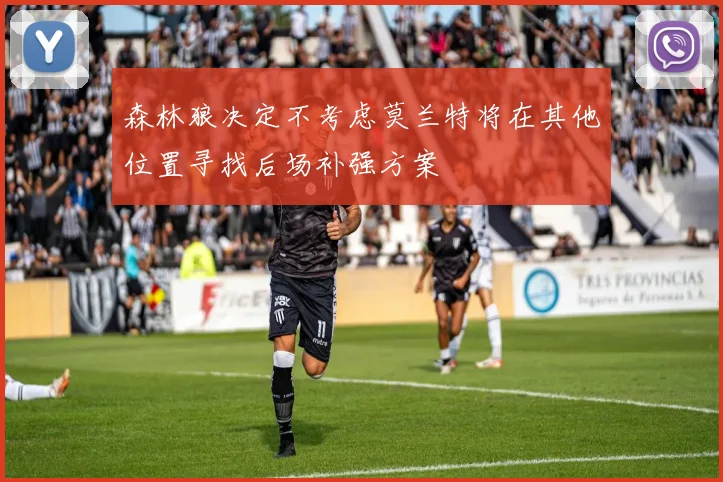 森林狼决定不考虑莫兰特将在其他位置寻找后场补强方案